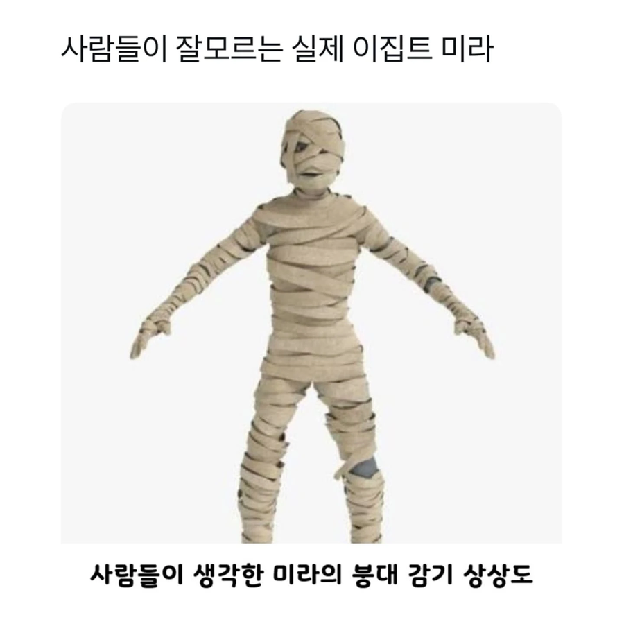 사람들이 잘 모르는 실제 이집트 미라.JPG_1.webp