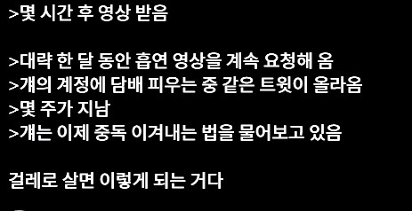 공포의 유료 조교_3.png