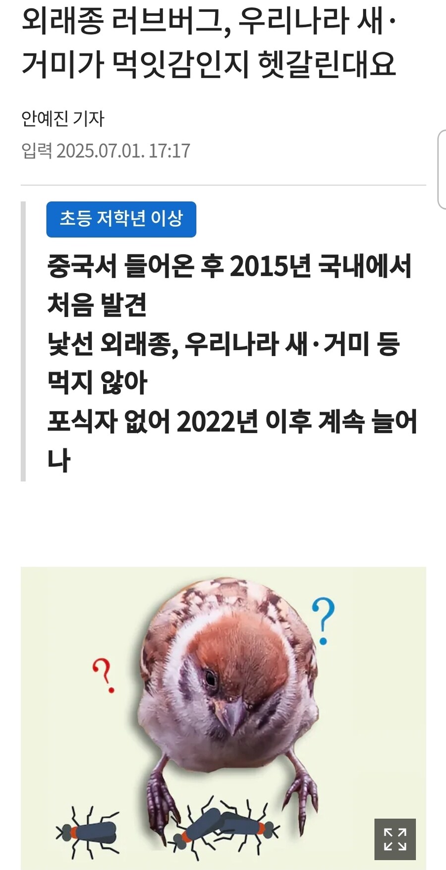 러브버그 창궐 원인 중 하나로 꼽히는 것_1.jpg