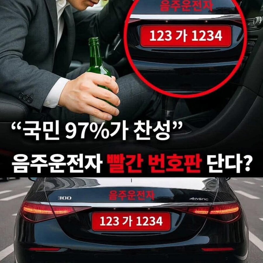 은근 개간지인 번호판..._1.png