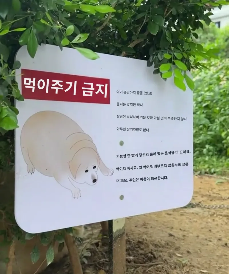 ???우리집 개한테 먹이주지 마세오_1.webp
