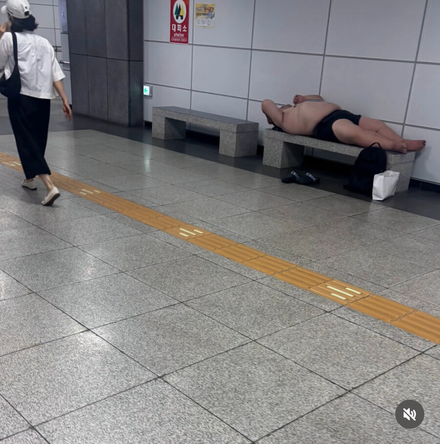 한국의 여름 풍경_1.jpg