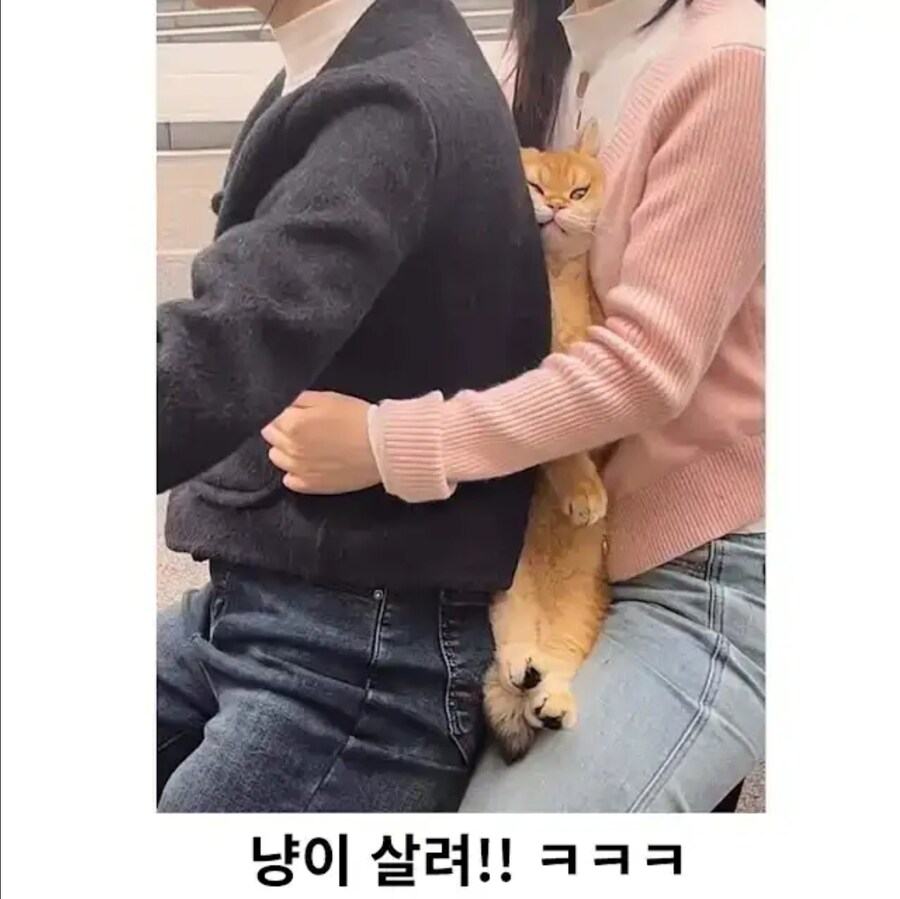 자전커 탄 커플과 고양이.jpg_2.jpg