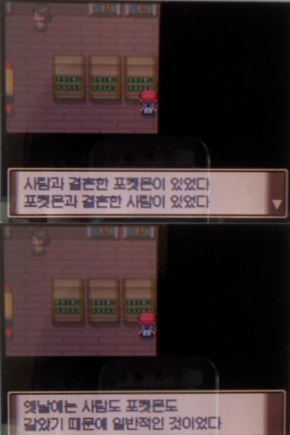 포켓몬과 결혼한 인간이 있었다._1.png