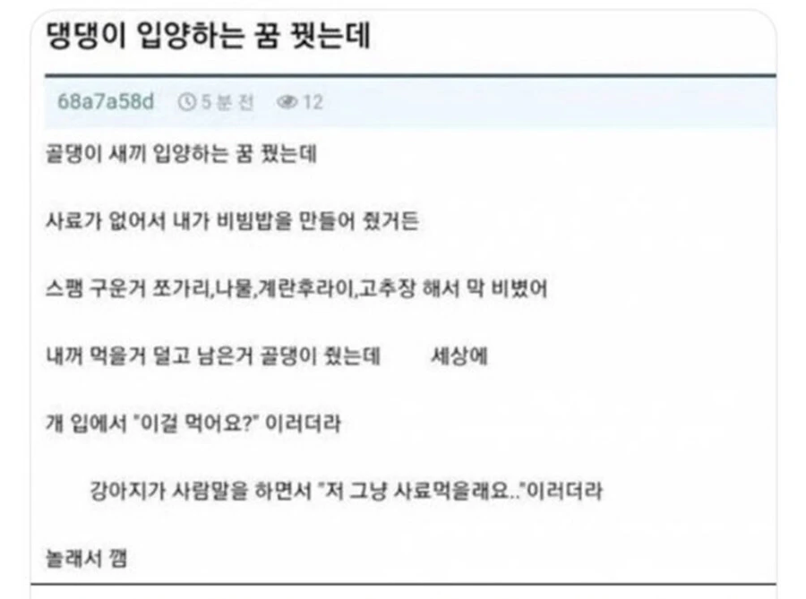 댕댕이 입양하는 꿈을 꾼 사람._1.webp