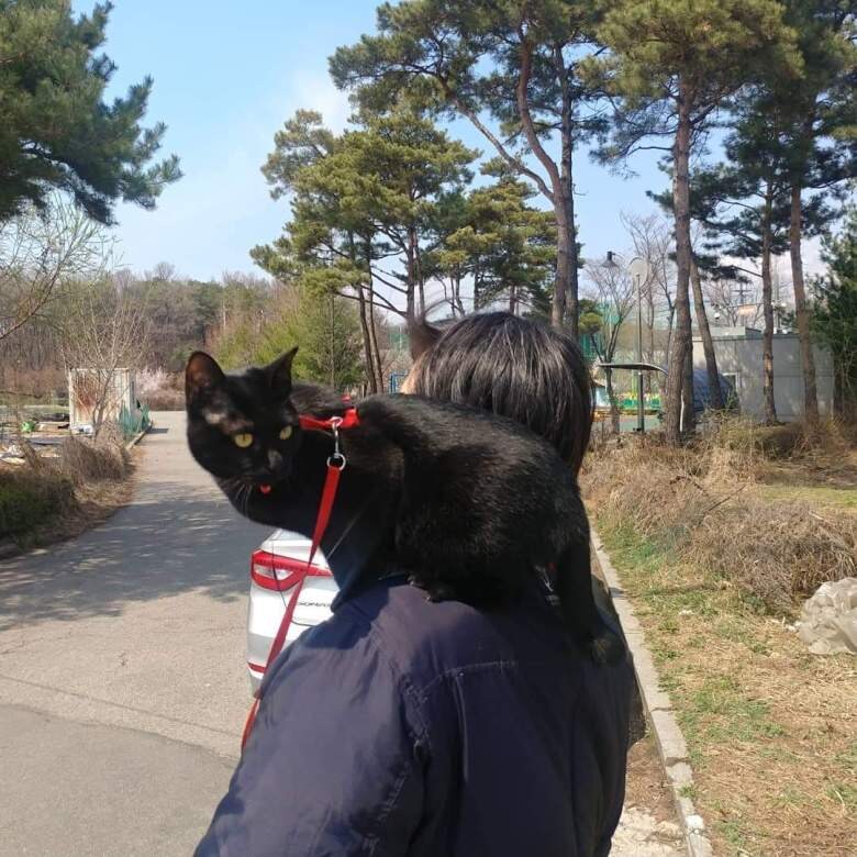 우리집 검은 똥괭이 9_2.jpg