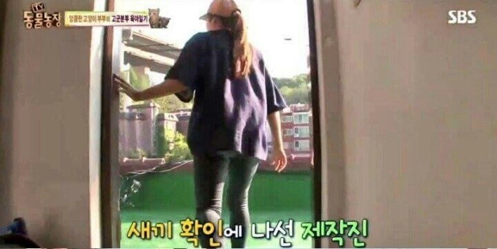당황한 동물농장 PD_2.jpg