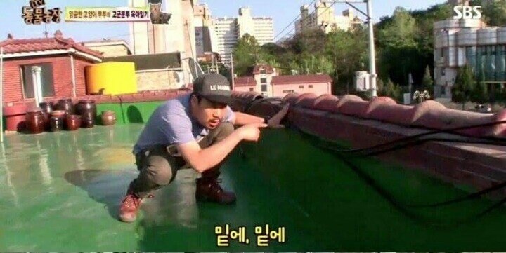 당황한 동물농장 PD_4.jpg