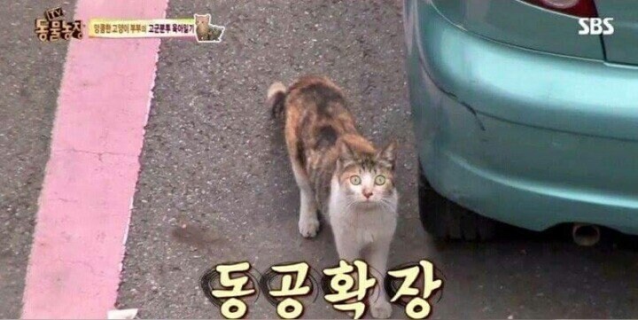 당황한 동물농장 PD_6.jpg