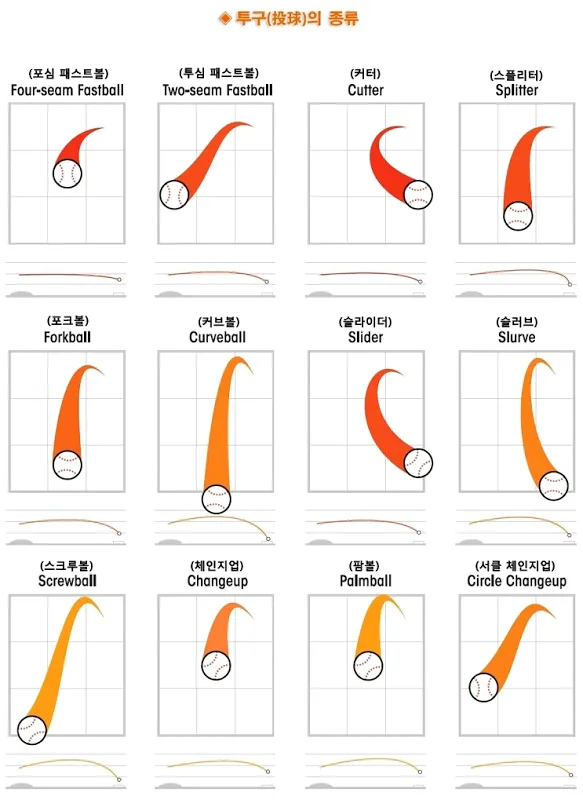 야구팬들 사이에서 호불호 갈리는 컨텐츠_1.webp