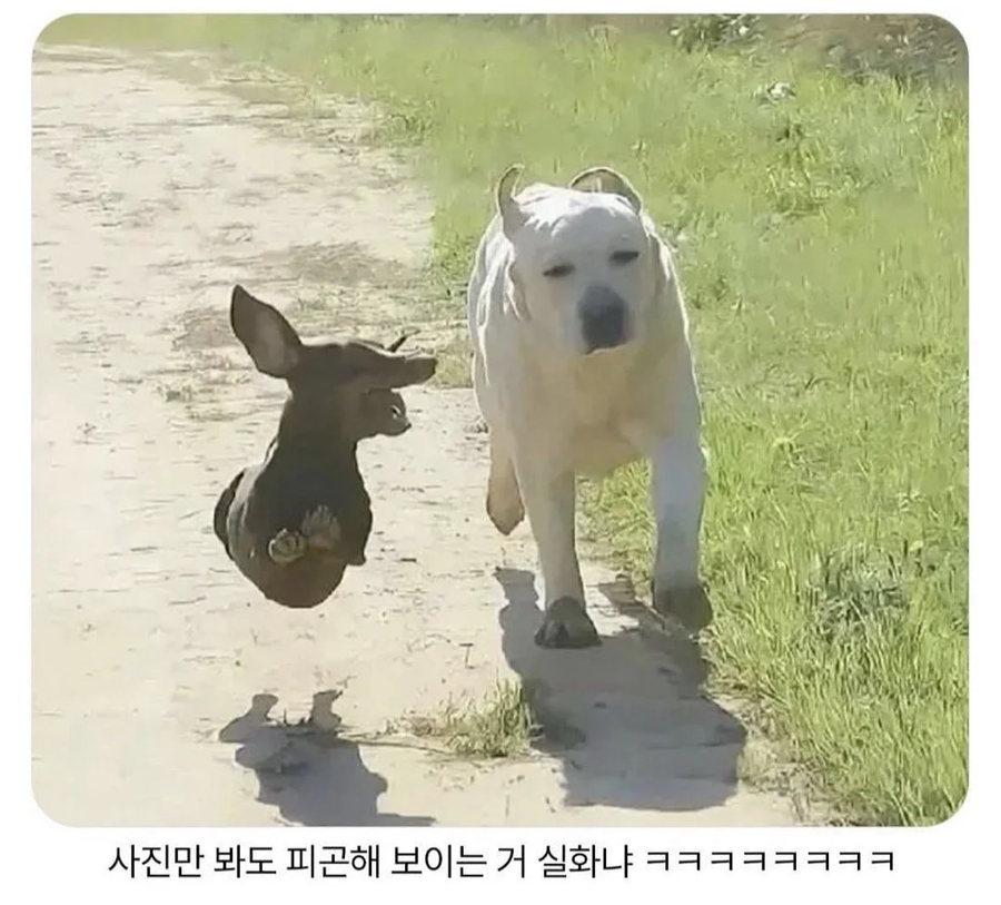 외향형에게 기빨리는 내향형_1.webp