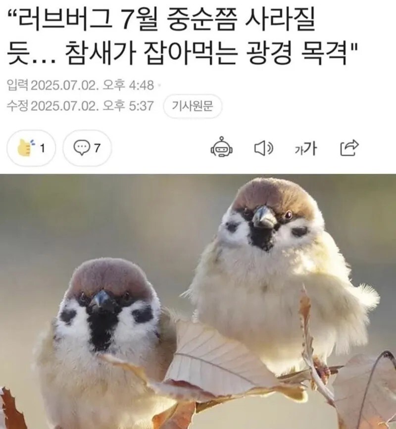 러브버그 방제 시스템 발동_1.jpg