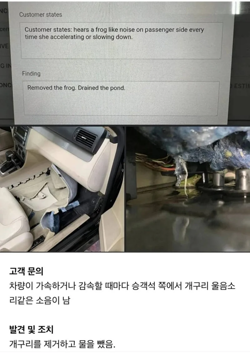 차를 가속/감속할 때마다 개구리 소리가 나요_1.webp