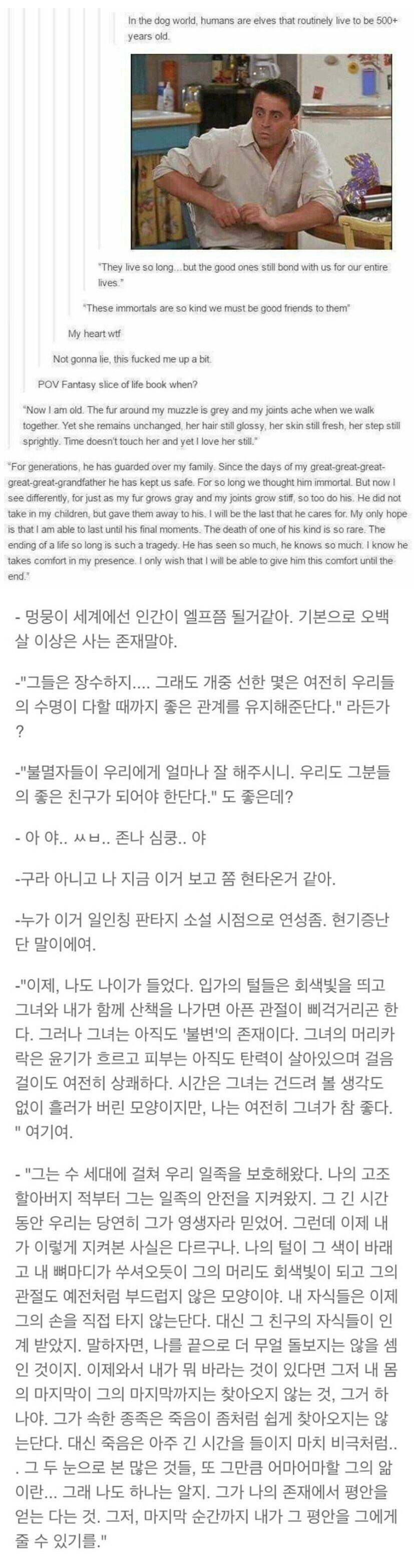 하프엘프가 멸시받는 이유를 인간기준으로 설명해보자_1.jpg