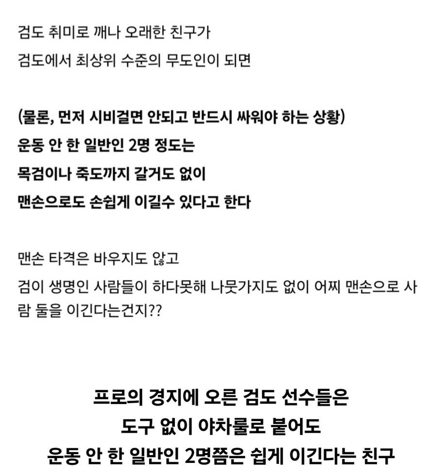 검도 애호가,