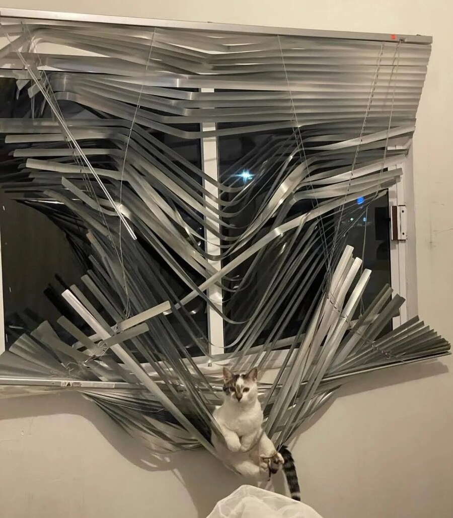 뭘봐 ㅂㅅ아_1.jpg