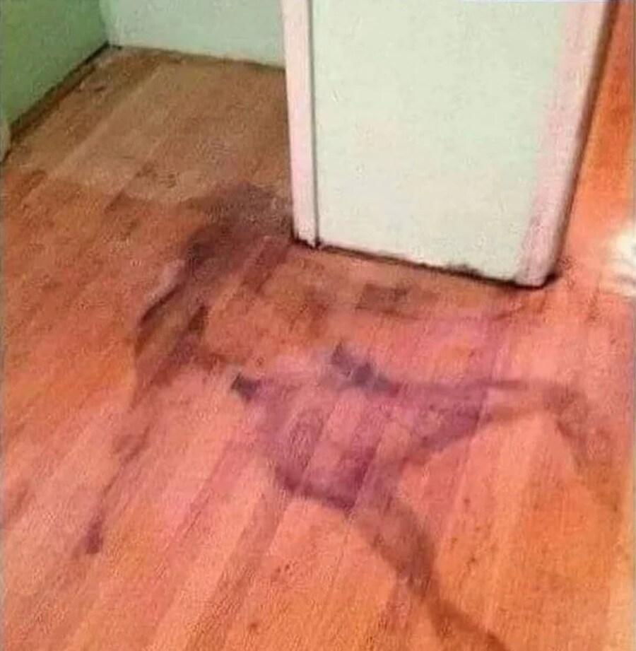 월셋방 주인 말론 냉장고에서 물이 좀 샜대.jpg_1.jpg