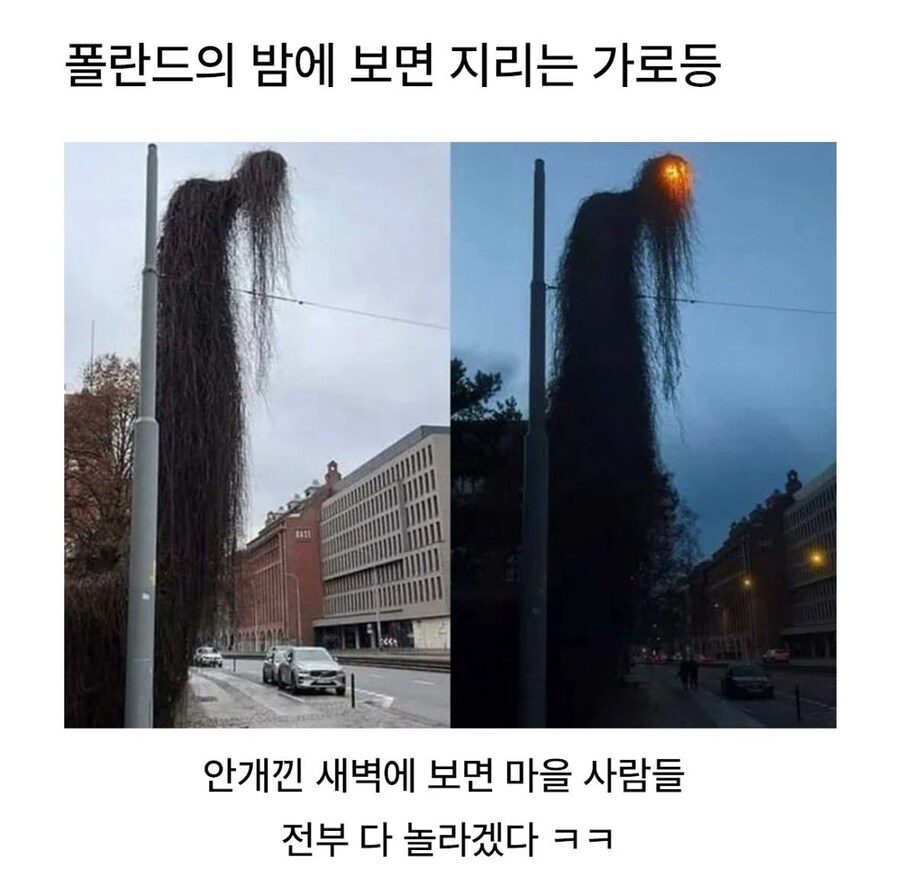 폴란드의 밤에 보면 지리는 가로등.jpg_1.jpg