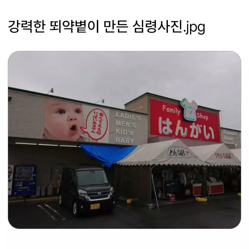 태양이 만든 호러 사진_1.webp