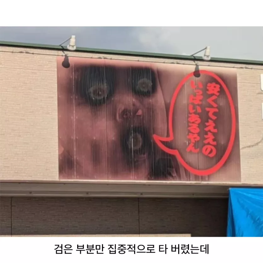 태양이 만든 호러 사진_3.webp