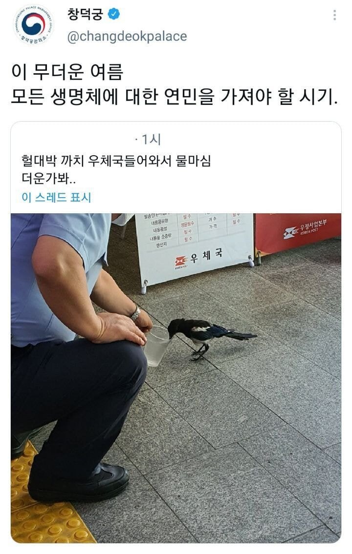 까치가 진짜 똑똑한 새라는 증거.jpg_1.jpg