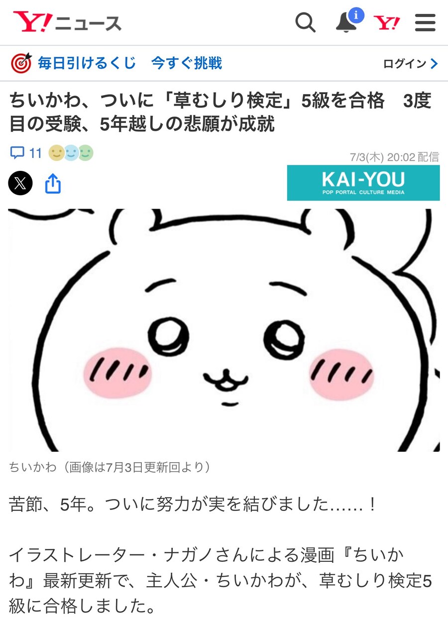 치이카와 풀뽑기 기능사 붙음 ㅋㅋ_2.jpg