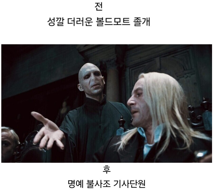 어느 순간 이미지가 바뀐 해리포터 빌런.jpg_3.jpg