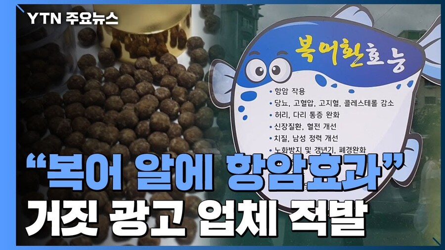 복어독 효능_2.jpg