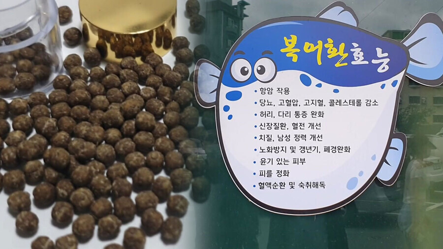 복어독 효능_1.jpg