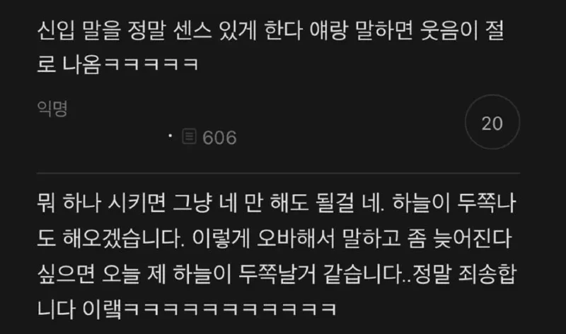 신입 말을 정말 센스 있게 한다_1.webp