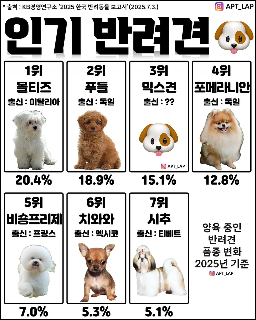가장 인기 있는 반려견.JPG_1.webp