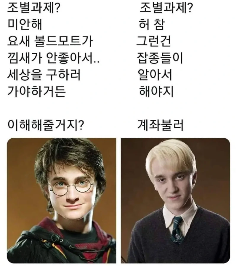 둘 중 한 명과 반드시 조별과제를 해야 한다면?_1.webp