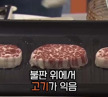 각 선진국가들이 배양육 기술에 열을 올리는 이유_1.png
