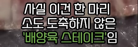각 선진국가들이 배양육 기술에 열을 올리는 이유_3.png