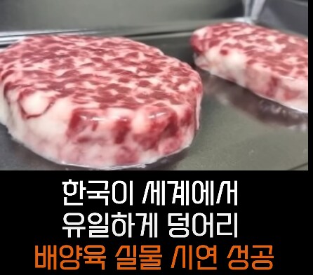 각 선진국가들이 배양육 기술에 열을 올리는 이유_4.png