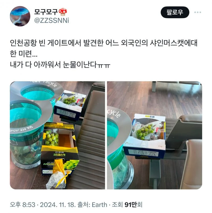 공항에서 발견 된 샤인머스켓_1.webp