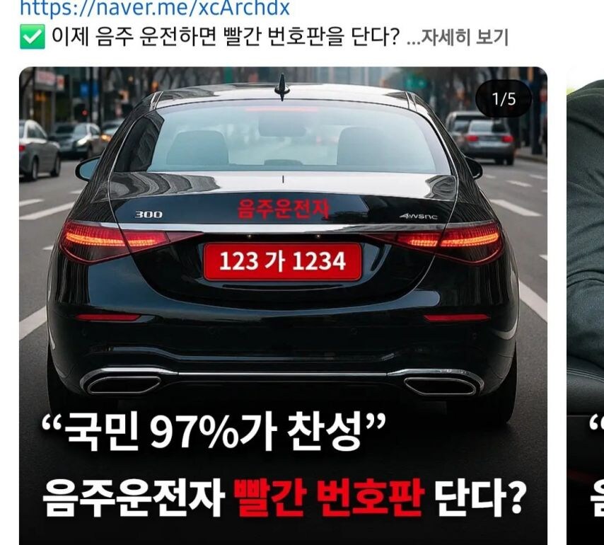 97%가 찬성한다는 빨간 번호판_1.jpg