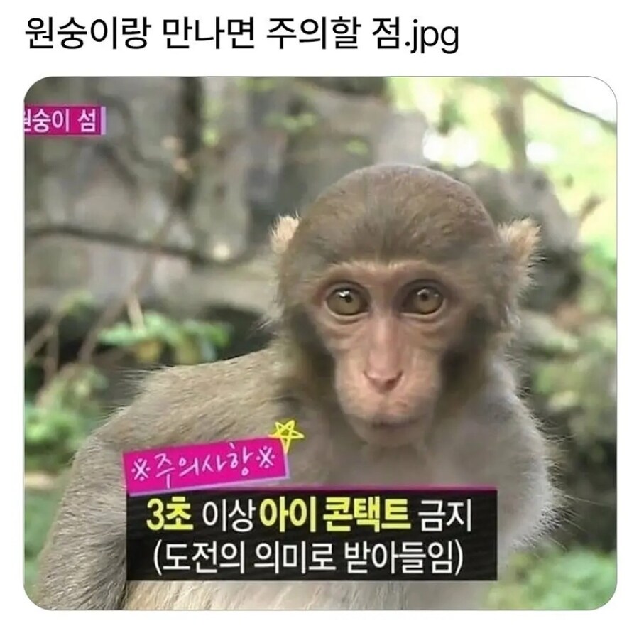 3초 아이컨택_1.jpg