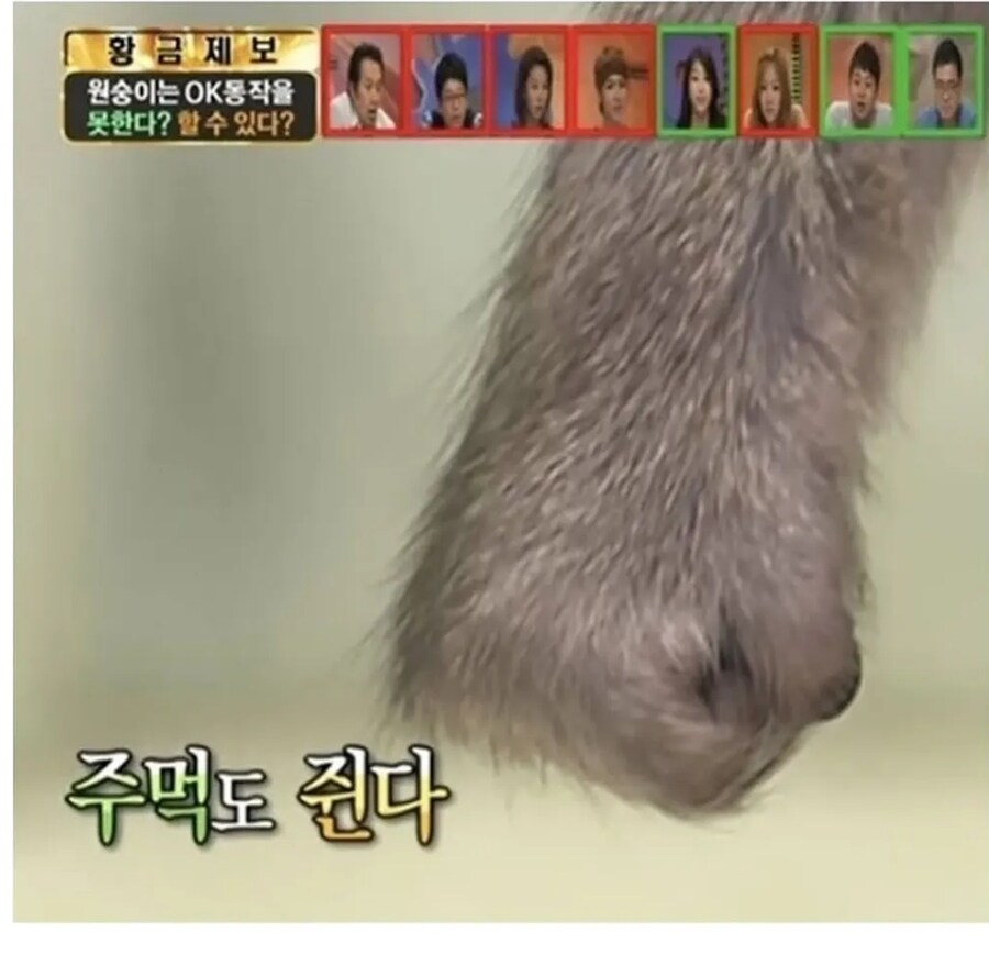 3초 아이컨택_2.jpg