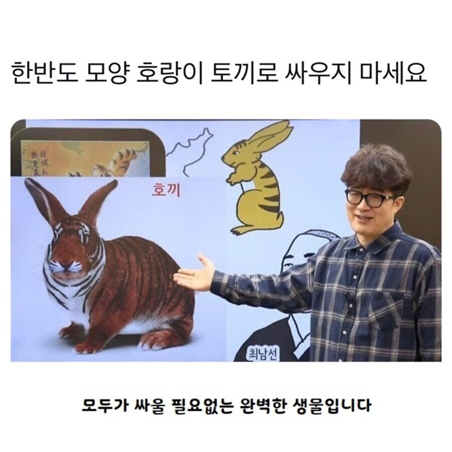 한반도 모양 토끼 호랑이로 싸우지 마세요.jpg_1.jpg