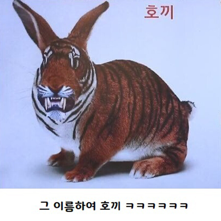한반도 모양 토끼 호랑이로 싸우지 마세요.jpg_2.jpg