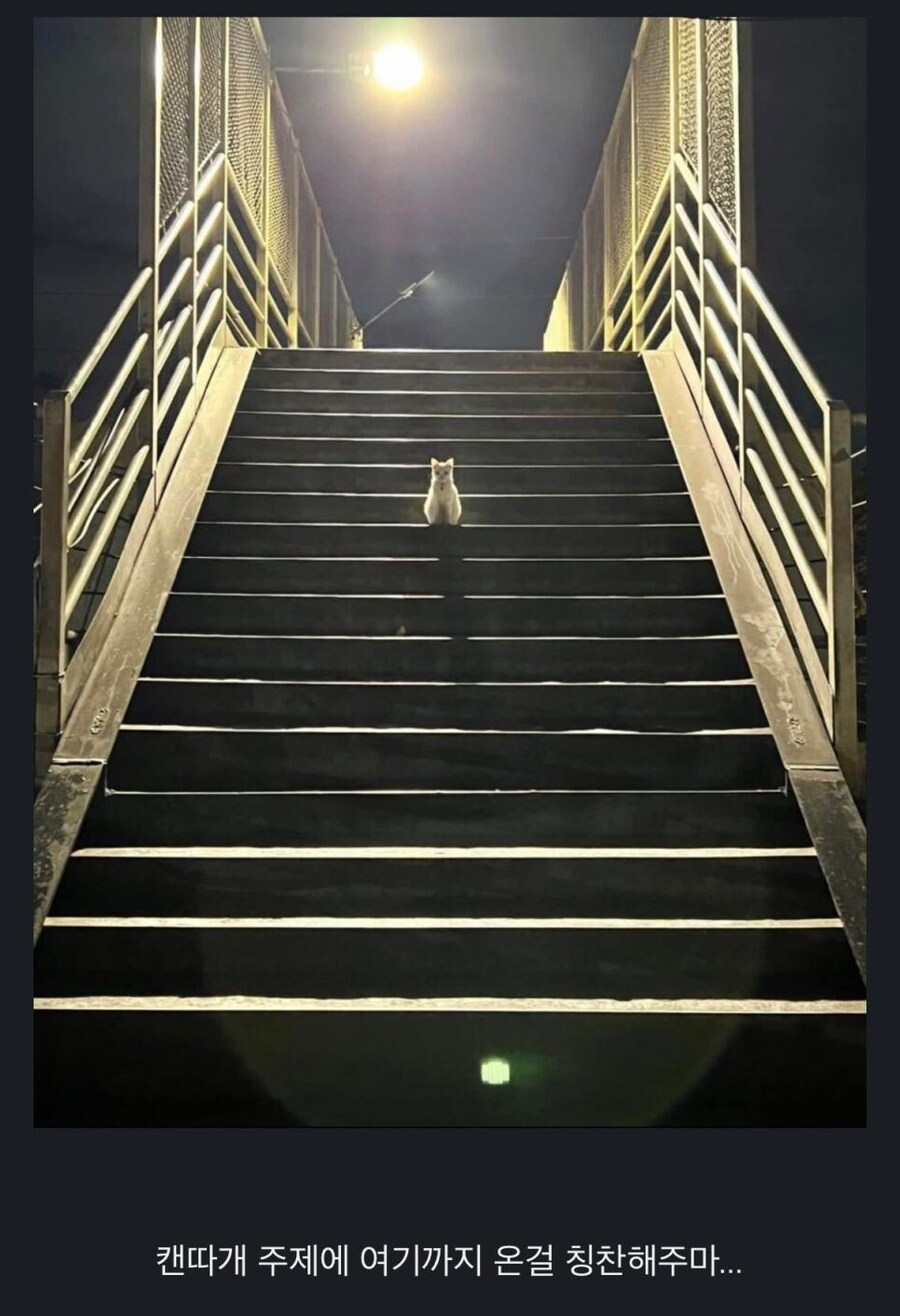 여기까지 오느라 수고했다_1.jpg