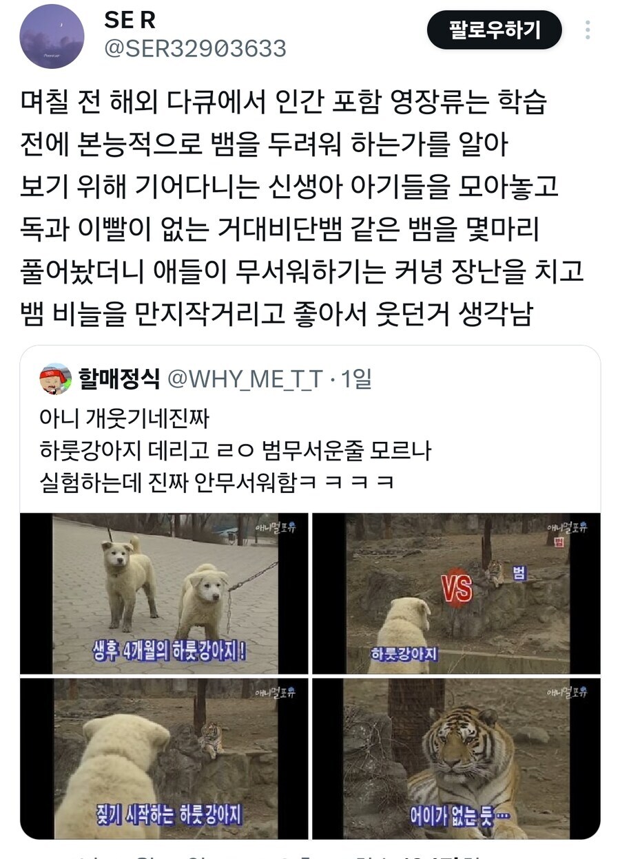 하룻강아지 범무서운줄 모른다 인간판 실험.jpg_1.jpg