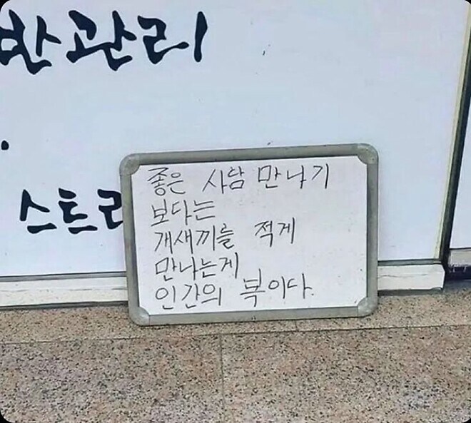 길거리에 버려진 화이트 보드_1.jpg