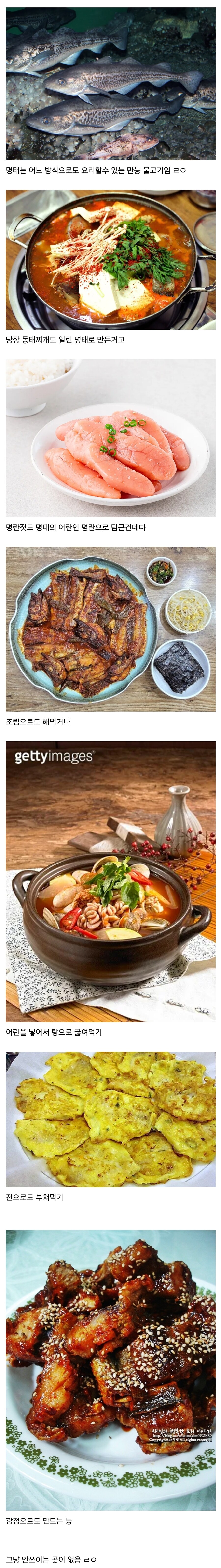 요리 방식이 만능인 물고기.jpg_1.jpg
