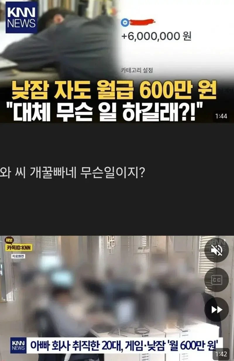 낮잠만 자도 월급 600만원.jpg_1.webp