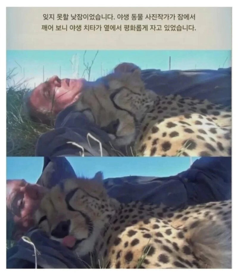 잊지 못 할 낮잠을 잔 사진기자_1.jpg