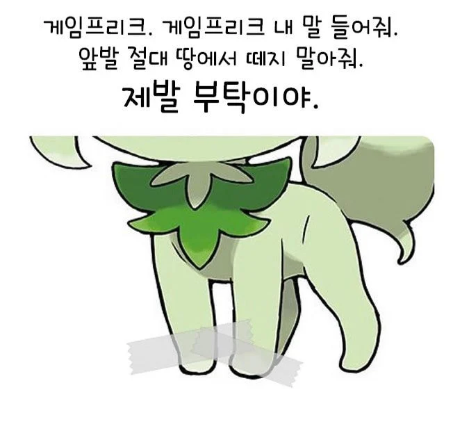고양이 포켓몬들 특징 jpg_1.webp