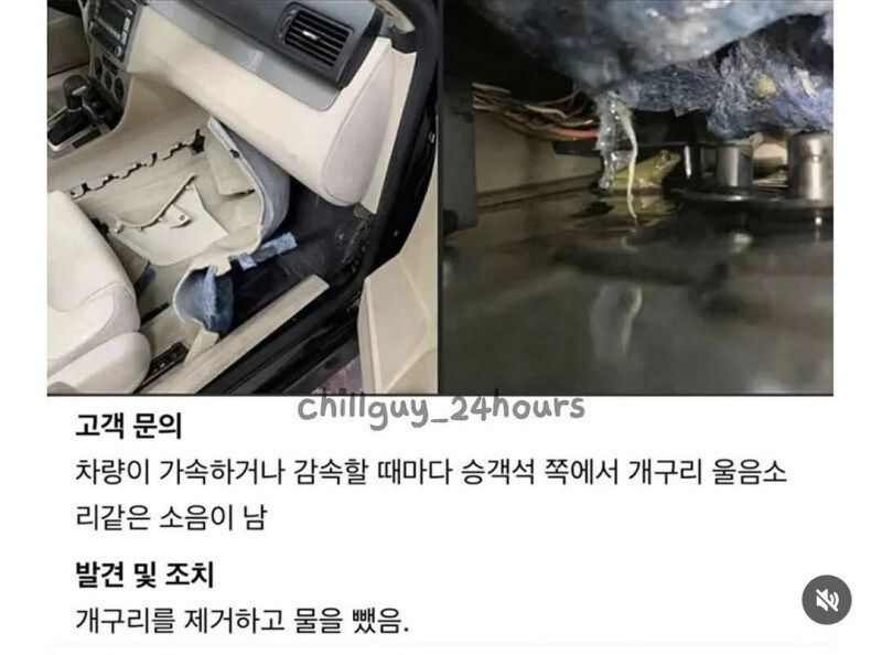 차에서 개구리 소리가 나요_1.jpg