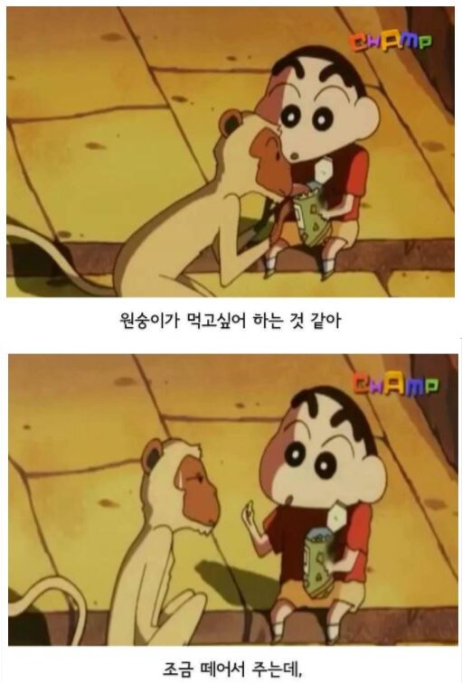 짱구가 초코비를 부어먹는 이유.jpg_3.png